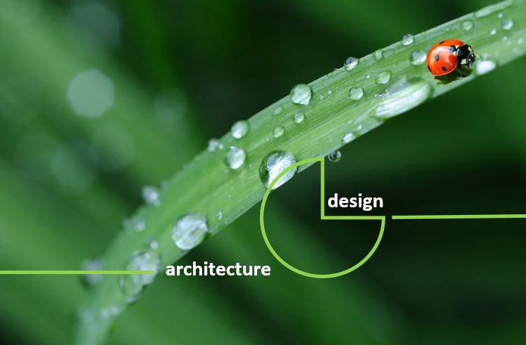 photo-coccinelle-sur-plante-avec-inscriptions-architecture-design-illustration-pretexte