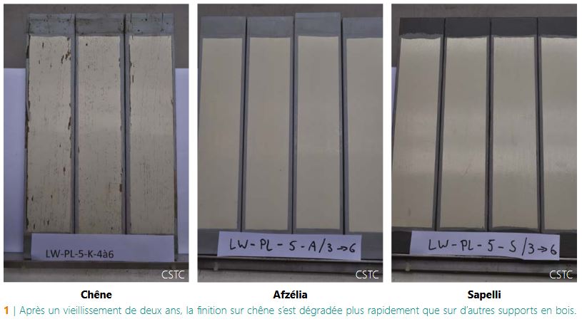 CSTC degradation sur chene plus rapide apres eux ans