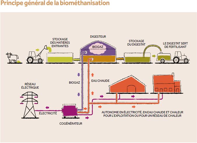 APERE-principe-general-de-la-biomethanisation-schema