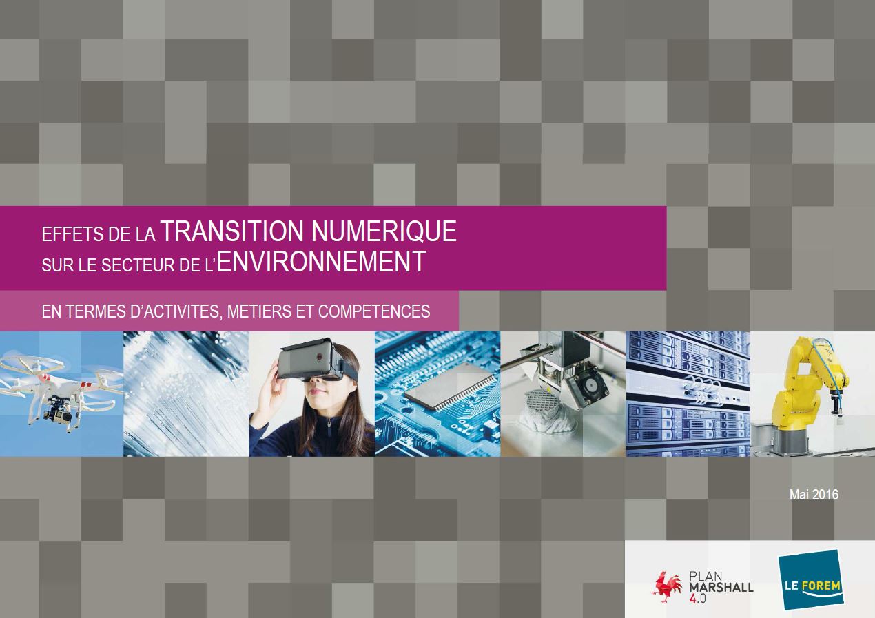 rapport_forem_environnement